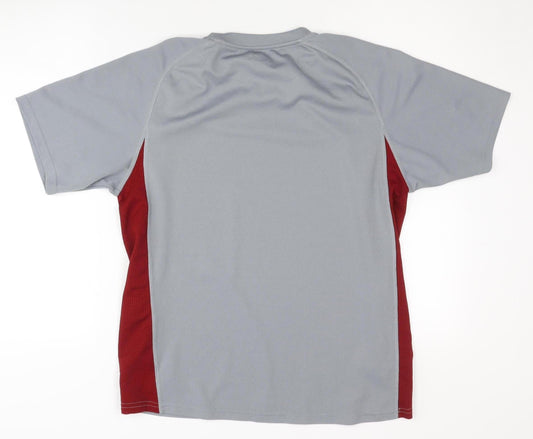 Champion Men's Grey T-Shirt M Raglan Quick Dry