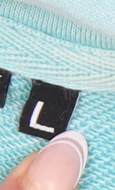 Superdry Blue Men's Pullover Hoodie L