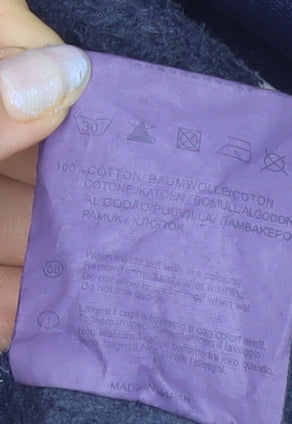 Champion Men’s Blue Pullover Hoodie Large Logo Fleece Sportswear