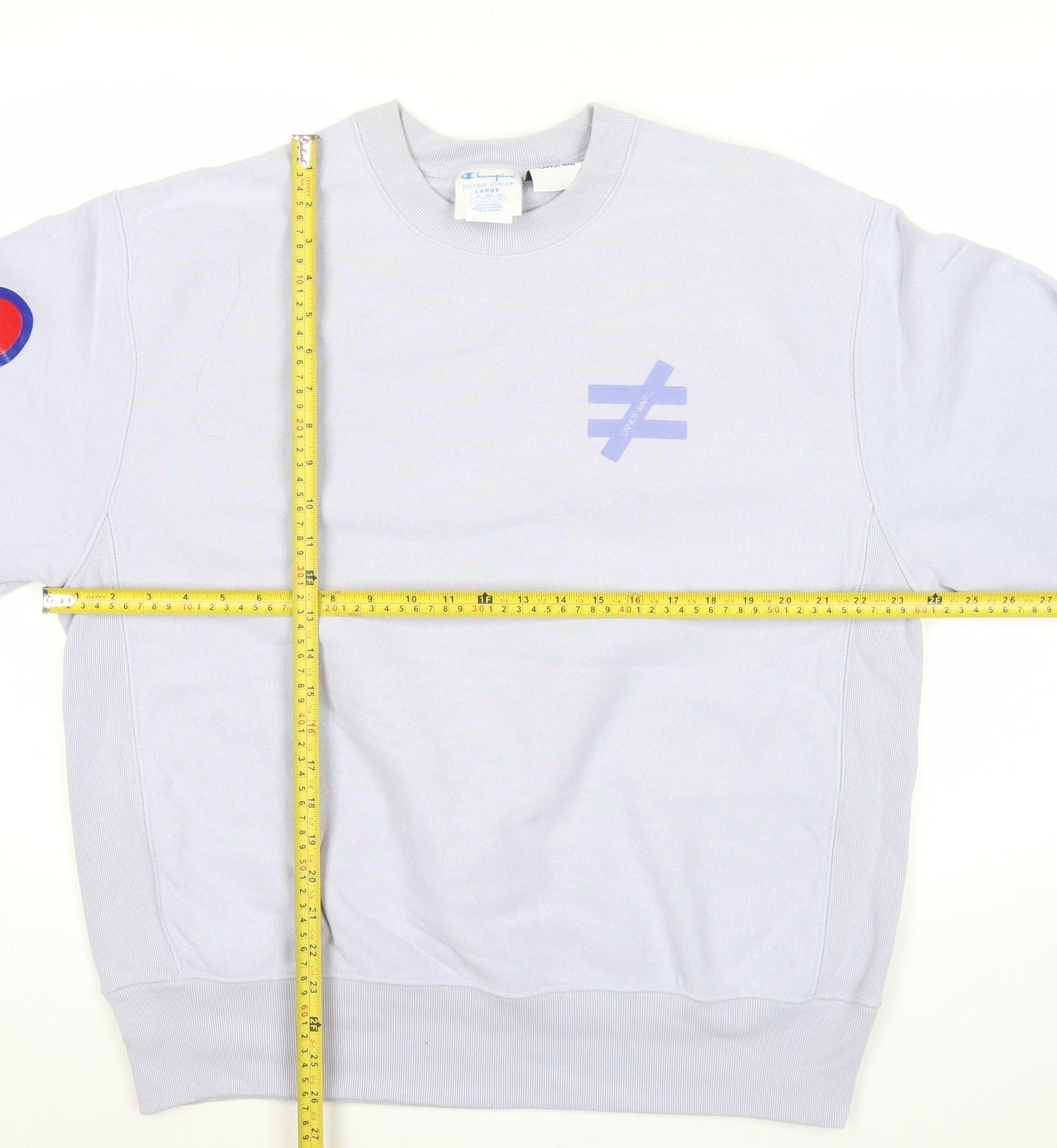 Champion Men’s Grey Reverse Weave Sweatshirt L Pullover Crew Neck Logo