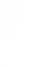 Regatta Women’s Pink Waterproof Rain Jacket Size 12 M Outdoor Coat