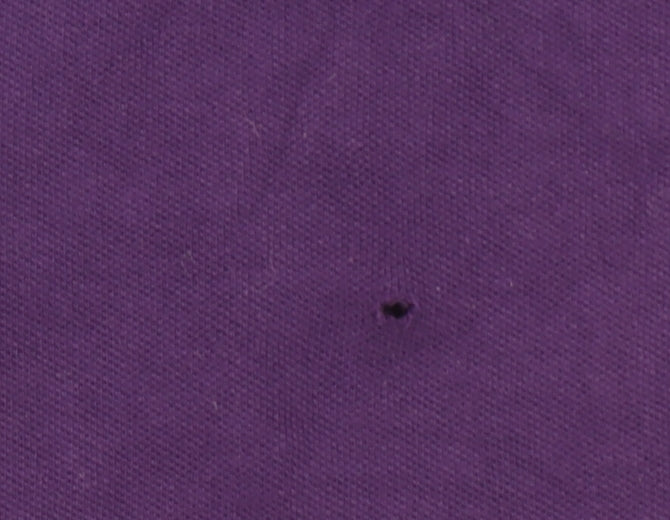 Tommy Hilfiger Women's Purple Cotton Polo Shirt L Short Sleeve Casual