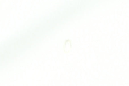 Regatta Women Ivory Fleece 1/4 Zip Pullover Sweatshirt UK 16