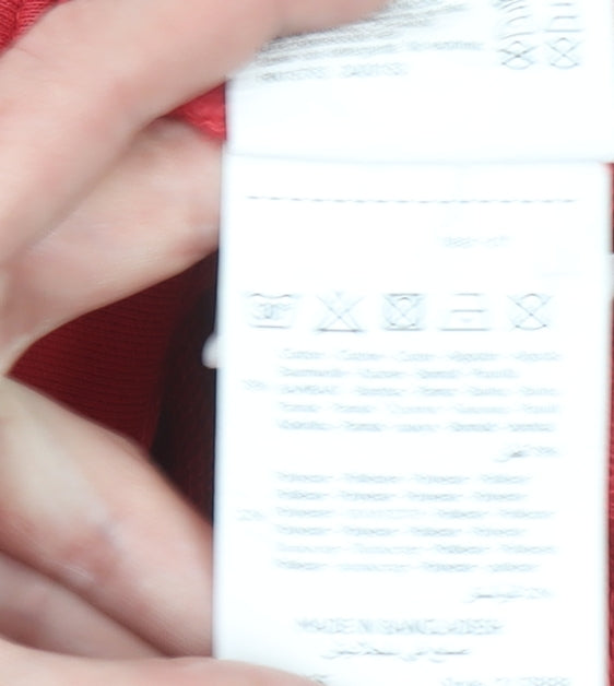 Champion Men's Red XL Pullover Hoodie with Logo