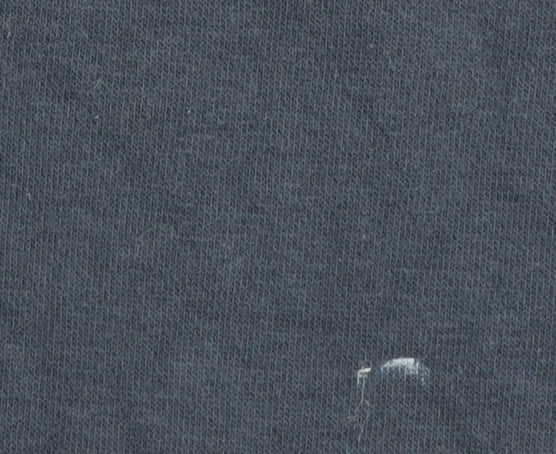 Champion Men's Blue Pullover Sweatshirt S Logo Crew Neck