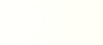 Champion Men's Purple Pullover Hoodie Size S Logo Graphic Sweatshirt