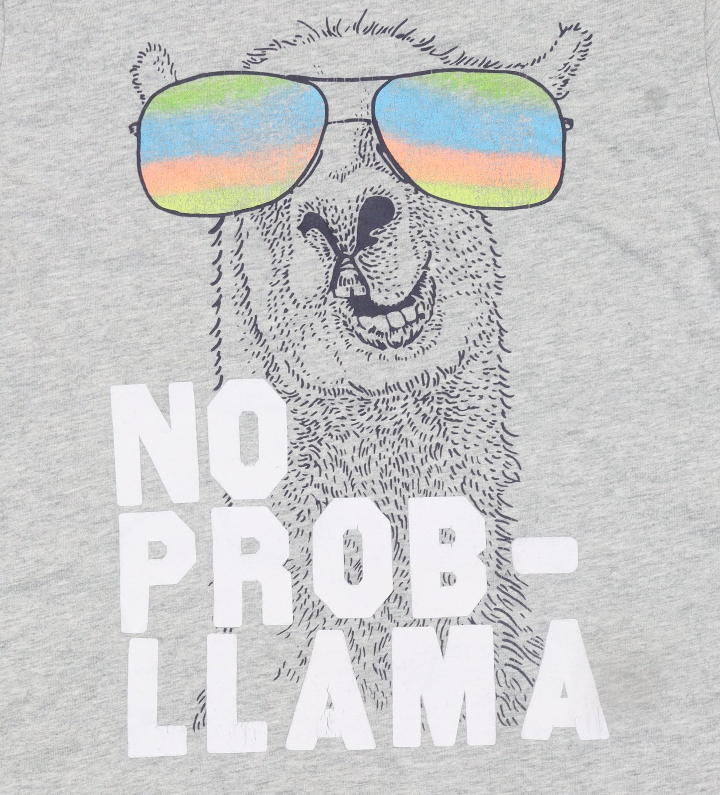 GAP Kids Boys Grey No Prob-llama Graphic Short Sleeve T-Shirt M