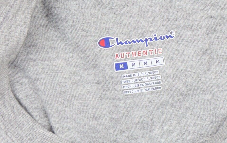 Champion Men's Grey Summit Eagles Long Sleeve Casual Top M