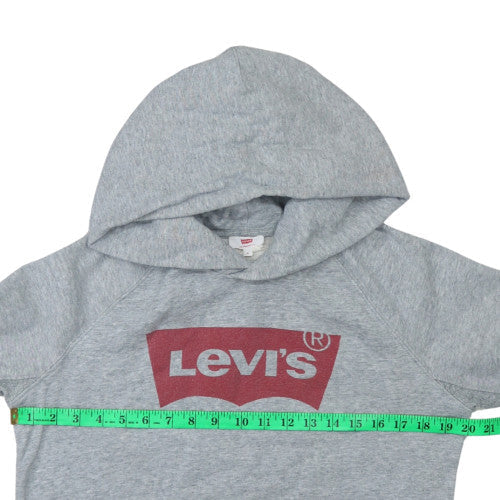 Levi's Mens Grey Hoodie Small Pullover Graphic Logo Sweatshirt