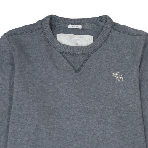 Abercrombie & Fitch Mens Grey L Pullover Crew Neck Sweatshirt