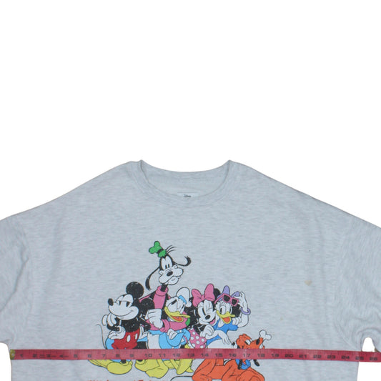 Primark Disney 100 Women's Grey Mickey & Friends Sweatshirt M 12/14