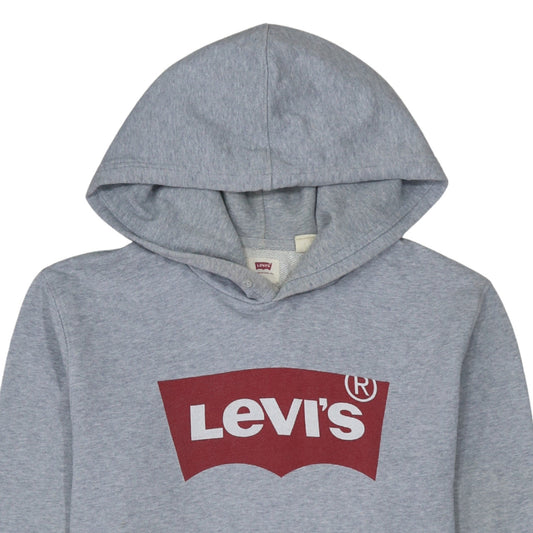 Levi's Men's Grey Graphic Logo Pullover Hoodie Size S