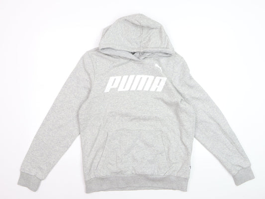 Puma Men Grey Pullover Hoodie L Hooded Sweatshirt Graphic Logo