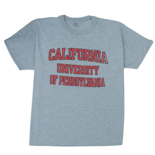 Champion Men's Grey California University Graphic T-Shirt XL