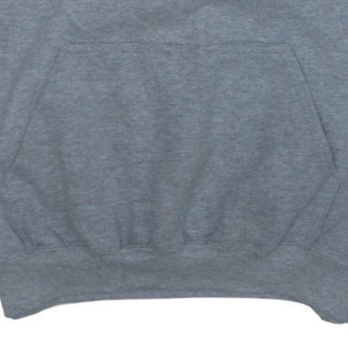 Harley-Davidson Mens Grey Pullover Hoodie L Biker Graphic