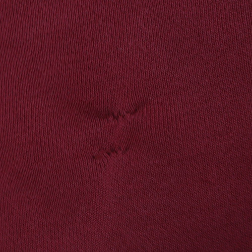 Champion Men's Red Pullover Hoodie L Regular Reverse Weave