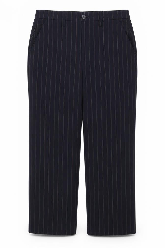 Toni Dress Womens Blue Striped  Trousers  Size 20 in L29 in