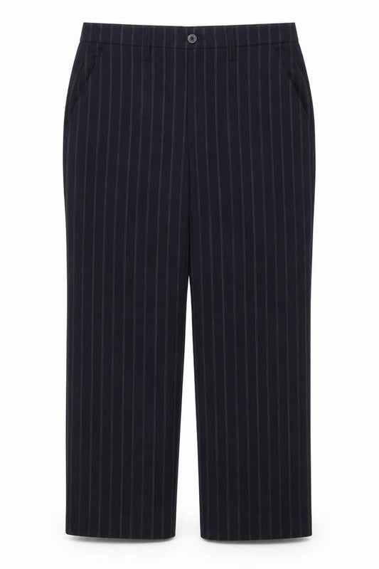 Toni Dress Womens Blue Striped  Trousers  Size 20 in L29 in