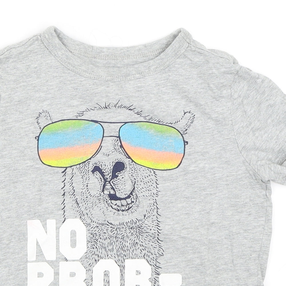 Gap Boys Grey   Basic T-Shirt Size XS  - Llama