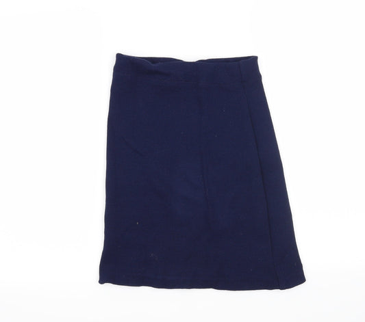 Preworn Womens Blue   Straight & Pencil Skirt Size 30 in