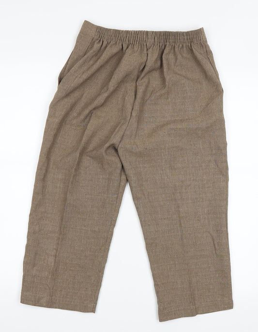 Preworn Womens Brown   Mom Shorts Size 26 in