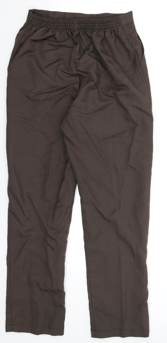 Preworn Womens Grey   Dress Pants Trousers Size 12 L27 in
