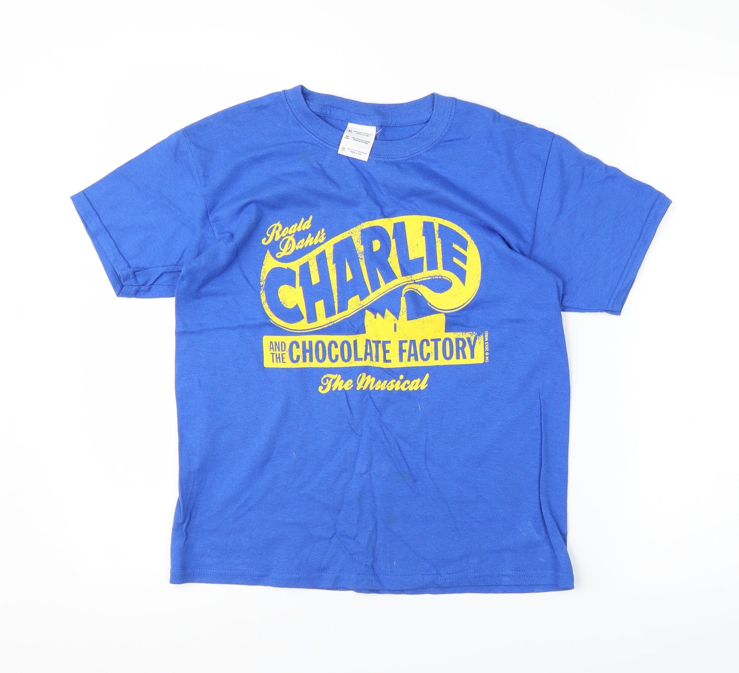 Preworn Boys Blue   Basic T-Shirt Size M