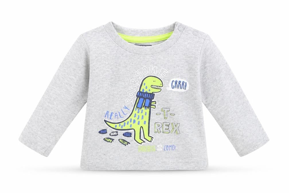 Early Days Boys Grey   Basic T-Shirt Size 3-6 Months  - T-Rex