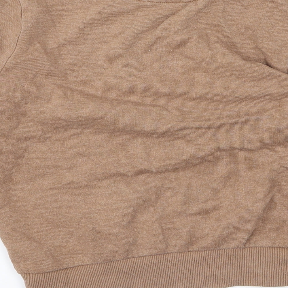 George Boys Brown   Pullover Jumper Size 3 Years  - dinosaur