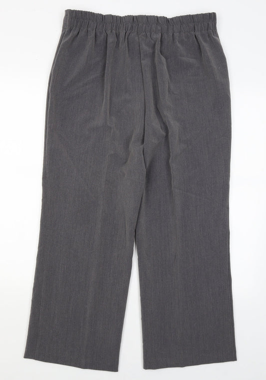 Preworn Womens Grey   Dress Pants Trousers Size 16 L25.5 in