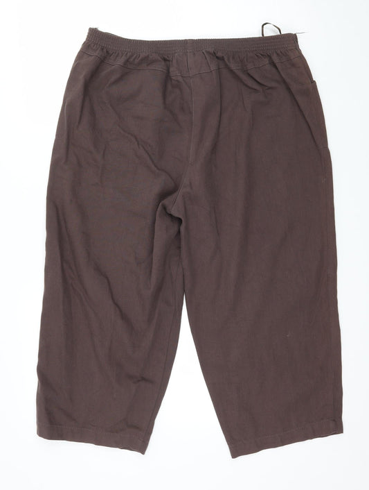 Classics Womens Brown   Cropped Trousers Size 36 in L21 in