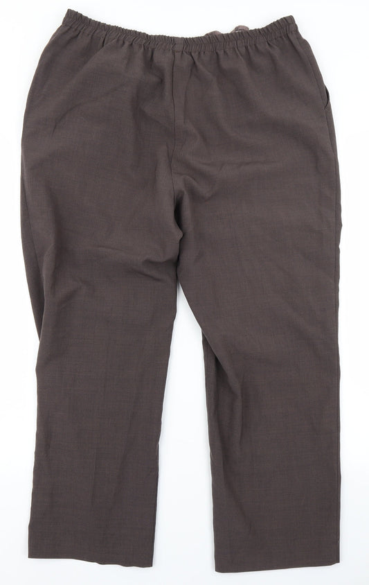 Preworn Womens Brown   Trousers  Size 20 L24 in