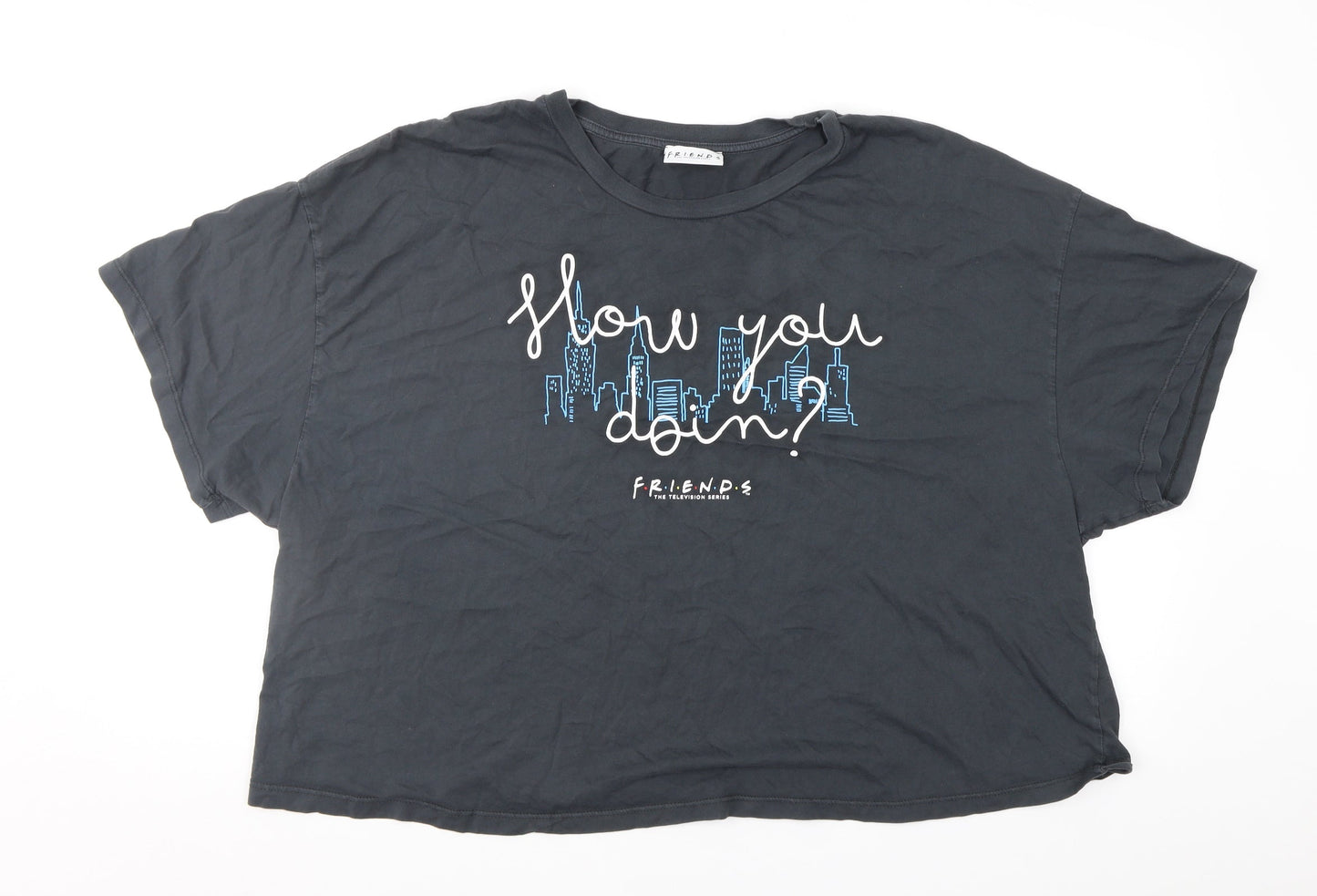 Friends Womens Grey   Cropped T-Shirt Size 20