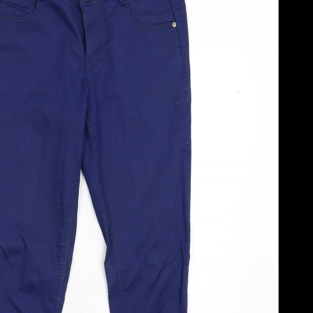 DP Denim Womens Blue  Denim Skinny Jeans Size 10 L29 in