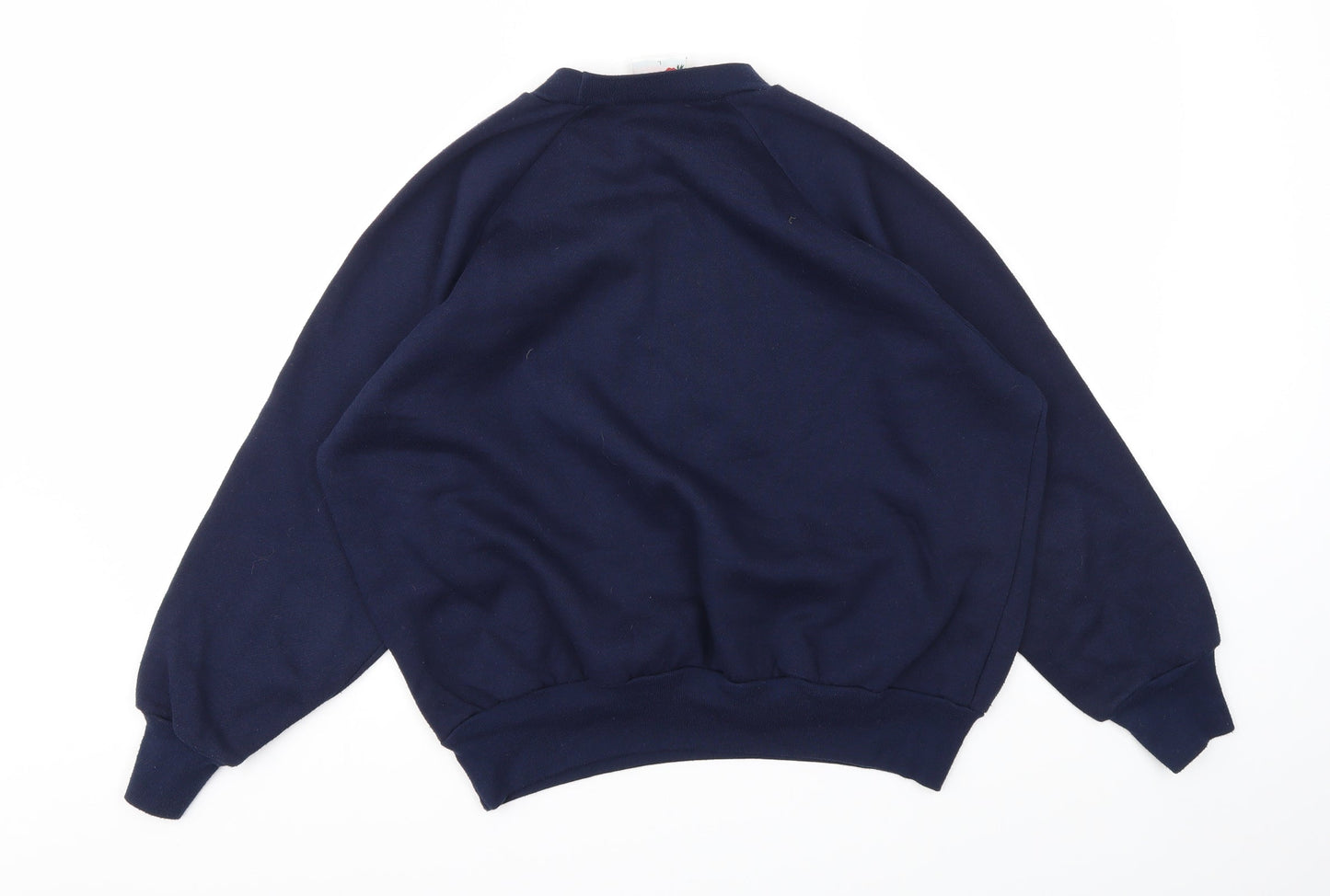 POPPY  Womens Blue Animal Print  Pullover Jumper Size L