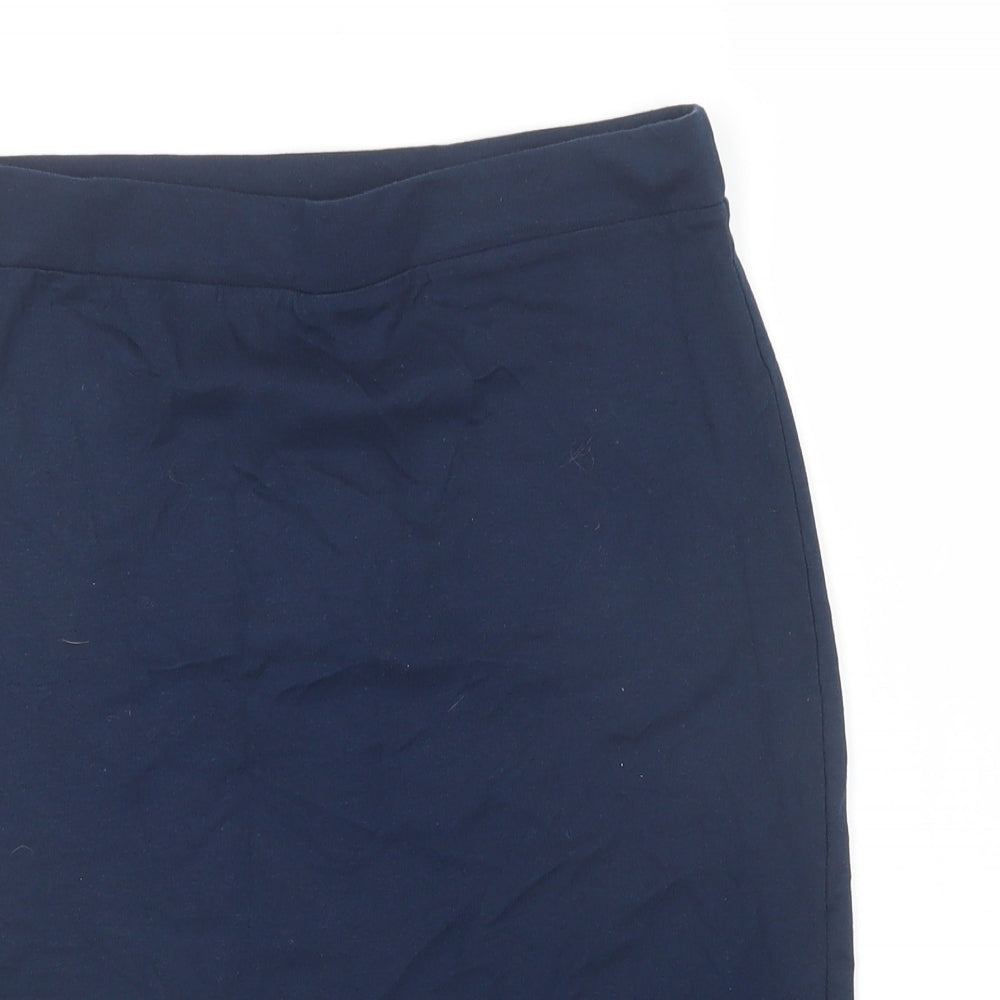 Preworn Womens Blue   A-Line Skirt Size M