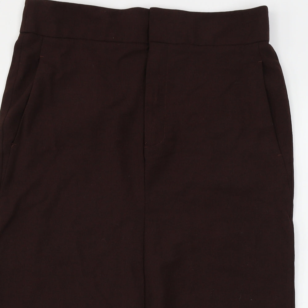 Zara Womens Brown   A-Line Skirt Size L