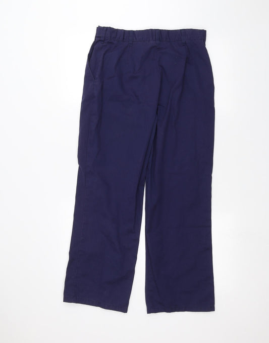 Alexandra Womens Blue   Straight Jeans Size 10 L25 in
