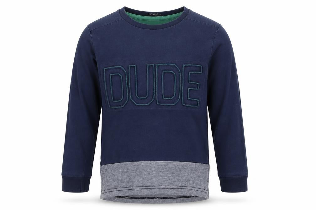 George Boys Blue   Basic T-Shirt Size 3-4 Years  - Dude