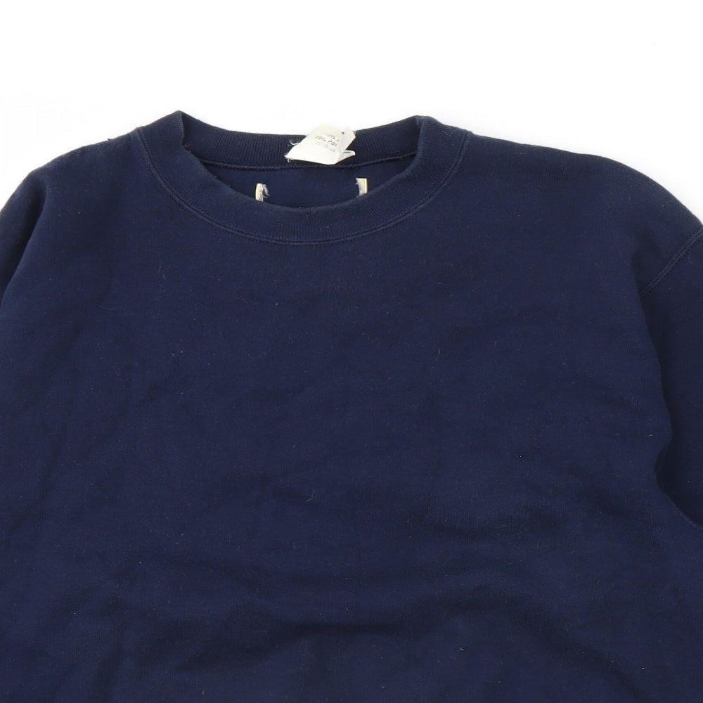 the lakes Mens Blue   Pullover Jumper Size S