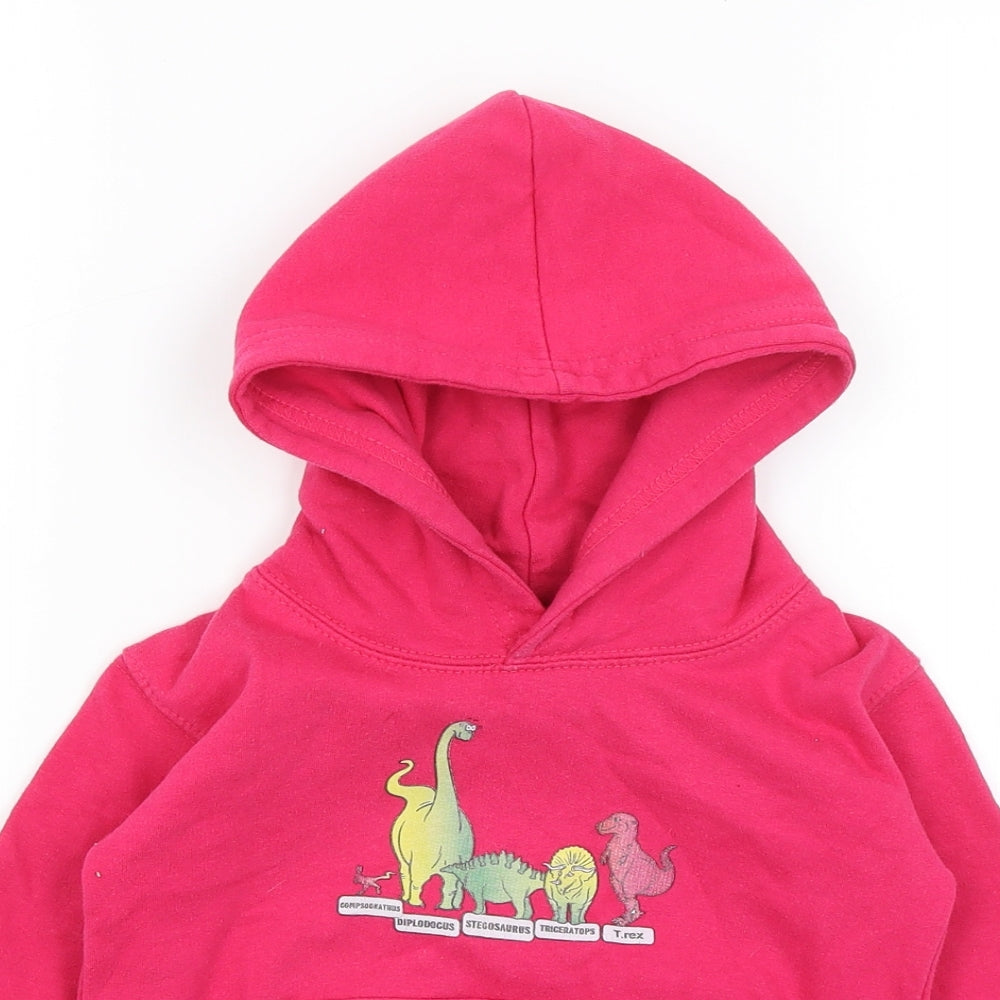 AWD Girls Pink   Pullover Hoodie Size 2 Years  - Dinosaurs