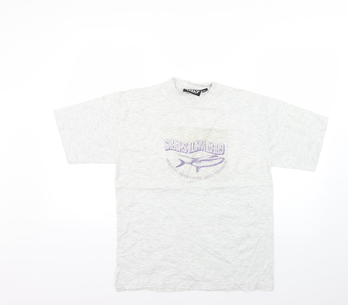 the only clothes Boys Grey   Basic T-Shirt Size 12-13 Years