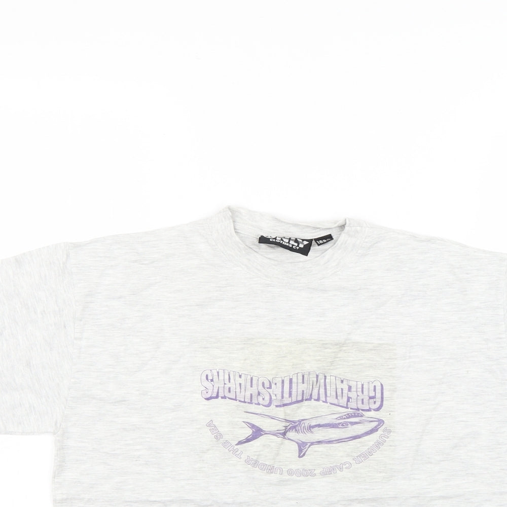 the only clothes Boys Grey   Basic T-Shirt Size 12-13 Years