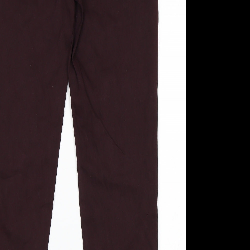 Preworn Womens Purple   Skinny Jeans Size 34 in L29 in