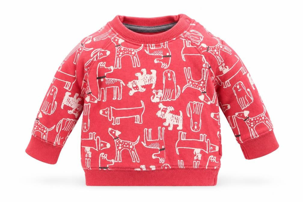 Nutmeg Boys Orange Animal Print  Pullover Jumper Size 0-3 Months