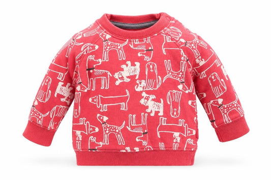 Nutmeg Boys Orange Animal Print  Pullover Jumper Size 0-3 Months