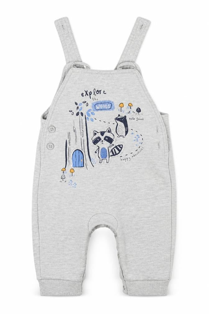 George Baby Grey   Babygrow One-Piece Size 3-6 Months  - Explore the Woods