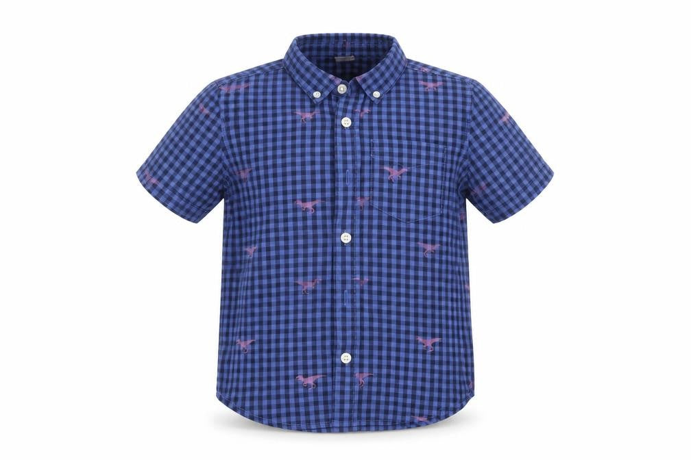 Gap Boys Blue   Basic Button-Up Size 4 Years