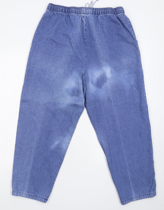 Casual Comfort Womens Blue  Denim Straight Jeans Size 32 in L25 in