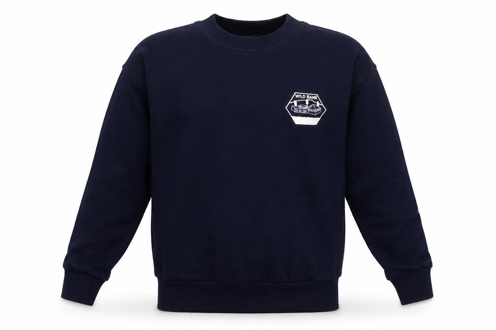MCS Boys Blue   Pullover Sweatshirt Size S